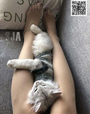 老师好紧情趣内衣免费_720在线视频观看